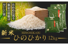 <先行受付>2023年度　鹿児島県産　新米　ひのひかり（12kg）　チャック・持ち手付き 新米 鹿児島 国産 九州産 白米 お米 こめ コメ ごはん ご飯 農家直送 ひのひかり ヒノヒカリ チャック付き【瑞ひかり】