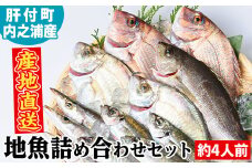 A09002 地魚詰め合わせセット(約4人分) 鹿児島 国産 九州産 産直 産地直送 鮮魚 新鮮 魚 海産物 お刺身 煮つけ 焼き魚【マルケイ水産】