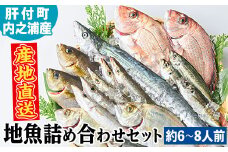 C09001 地魚詰め合わせセット(約6～8人分) 朝獲れ 鮮魚 地元の魚屋が選別 旬 魚 地魚 さかな 刺身 煮つけ 焼き魚 詰合わせ セット 海産物 国産【マルケイ水産】