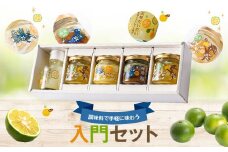 A20005 ＜世界でここだけ果実＞調味料で手軽に味わう入門セット！GI(地理的表示)登録産品！ ストレート果汁 手作り味噌 バタークリーム マーマレード 詰め合わせ 調味料 だいだい 橙 鹿児島 国産 柑橘 ギフト 贈答【NPO法人　陸の宝島・岸良】