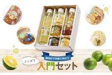 A20006 ＜世界でここだけ果実＞調味料で手軽に味わうよくばり入門セット！GI(地理的表示)登録産品！ 辺塚だいだい シロップ ストレート果汁 ドレッシング 手作り 味噌 バタークリーム マーマレード 詰め合わせ 鹿児島 国産【NPO法人 陸の宝島・岸良】