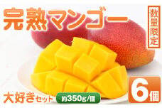 D15001 ＜先行予約受付中！＞肝付町産完熟マンゴー大好きセット(約350g×6個)鹿児島 完熟 マンゴー フルーツ 国産 お取り寄せ ギフト 贈答【SHOWAマンゴー農園】