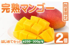 A15004 ＜先行予約受付中！＞肝付町産完熟マンゴーはじめてセット(約250g～300g×2個)鹿児島 国産 完熟 マンゴー フルーツ 果物 デザート お取り寄せ ギフト 贈答【SHOWAマンゴー農園】