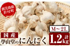 A69001 學山堂のにんにく(計1.2kg) 鹿児島 国産 にんにく ニンニク 大蒜 野菜 ガーリック 薬味【ニンニクの學山堂】