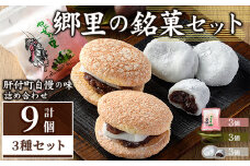 P45001 ＼数量限定！中学生考案ロゴデザインパッケージ！／郷里の銘菓セット(合計9個・やぶさめの里3個・けせん団子3個・大福3個) 和菓子 詰め合わせ ブッセ あんこ 餅 大福 だいふく 熨斗 お取り寄せ ギフト 贈答【福原菓子店】