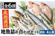 E09001 【6回定期便】魚屋さんの選んだ新鮮お魚詰め合わせ(約6～8人分) 鹿児島 国産 九州産 産直 産地直送 鮮魚 新鮮 魚 海産物 お刺身 煮つけ 焼き魚【マルケイ水産】