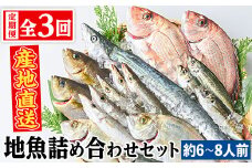 D09002 【3回定期便】魚屋さんの選んだ新鮮お魚詰め合わせ(約6～8人分) 鹿児島 国産 九州産 産直 産地直送 鮮魚 新鮮 魚 海産物 お刺身 煮つけ 焼き魚【マルケイ水産】