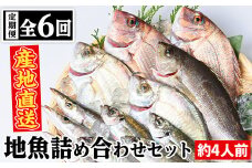 D09001 【6回定期便】魚屋さんの選んだ新鮮お魚詰め合わせ(約4人分) 鹿児島 国産 九州産 産直 産地直送 鮮魚 新鮮 魚 海産物 お刺身 煮つけ 焼き魚【マルケイ水産】