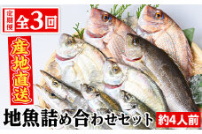 C09002 【3回定期便】魚屋さんの選んだ新鮮お魚詰め合わせ(約4人分) 鹿児島 国産 九州産 産直 産地直送 鮮魚 新鮮 魚 海産物 お刺身 煮つけ 焼き魚【マルケイ水産】