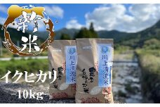 【数量限定】川上清流米（10kg）鹿児島 国産 お米 こめ コメ 白米 ごはん ご飯 イクヒカリ いくひかり【やまびこ館】