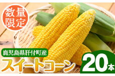 A68001 ＜先行予約受付中！6月上旬より準備が整い次第順次発送＞肝付町産 産地直送！朝採れ スイートコーン(20本入り) 肝付町 特産品 鹿児島 国産 とうもろこし コーン スイートコーン 新鮮 産地直送【丸山果樹園】