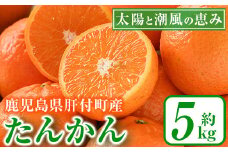 A20007 ＜先行予約受付中！2024年2月中旬より順次発送＞鹿児島県肝付町岸良のたんかん！きしたん(約5kg) 鹿児島 国産 タンカン 柑橘 かんきつ 果物 フルーツ 贈答 ギフト【NPO法人 陸の宝島・岸良】