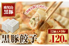 A02046 黒豚餃子セット（12個入×10パック）鹿児島 国産 九州産 自家農場 黒豚 黒ぶた 豚肉 冷凍 餃子 ギョーザ ぎょうざ おかず 惣菜【和田養豚】