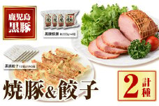 A02048 黒豚焼豚（2個）＆黒豚餃子（12個入×5パック）セット  鹿児島 国産 九州産 黒豚 豚肉 お肉 餃子 ギョーザ ぎょうざ 角煮 焼豚 叉焼 チャーシュー おかず 惣菜【和田養豚】