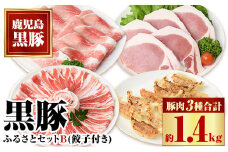 B02079 ふるさと黒豚セットＢ！黒豚餃子(12個入×3P)付き  鹿児島 国産 九州産 黒豚 豚肉 お肉 バラ ロース モモ スライス 餃子 ぎょうざ 焼肉 しゃぶしゃぶ すきやき おかず 惣菜【和田養豚】