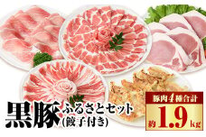 B02080 黒豚ふるさとセット(合計約約1.9kg)黒豚餃子(12個入)付き  鹿児島 国産 九州産 黒豚 豚肉 お肉 バラ 肩ロース ロース モモ スライス 餃子 ぎょうざ 焼肉 しゃぶしゃぶ すきやき おかず 惣菜【和田養豚】