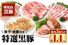 B02092 特選黒豚バラエティセット(約1.4kg)・黒豚焼豚2個付き！バラ肉(焼肉用)、黒豚ロース(トンカツ用)、黒豚モモ、黒豚焼豚、黒豚餃子のセット 鹿児島 国産 九州産 黒豚 豚肉 お肉 焼豚 叉焼 チャーシュー 餃子 ぎょうざ ギョーザ 惣菜 ギフト 贈答【和田養豚】
