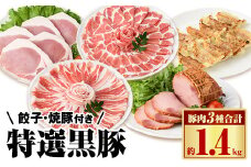 B02096 特選黒豚大盛(約1.4kg)・黒豚焼豚2個・黒豚餃子(12個入×1P)セット！黒豚バラ・肩ロース(しゃぶしゃぶ用)、黒豚ロース(トンカツ用)のセット 鹿児島 国産 九州産 黒豚 豚肉 お肉 焼豚 叉焼 チャーシュー 餃子 ぎょうざ ギョーザ 水餃子 ギフト【和田養豚】