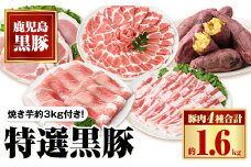 C02043 特選黒豚セット(計約1.6kg)紅はるか焼き芋(約3kg)付き！ 鹿児島 国産 九州産 黒豚 バラ カルビ モモ 切り落とし 肩ロース しゃぶしゃぶ用 ロース 焼いも 焼き芋 セット【和田養豚】