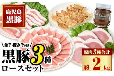 C02048  極上かごしま黒豚セット！(合計約2kg・豚肉3種・餃子・黒豚みそ)【和田養豚】