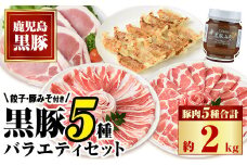 C02049 極上かごしま黒豚バラエティセット！黒豚バラ、黒豚肩ロース、黒豚ロース(しゃぶしゃぶ 生姜焼き トンカツ 用) 黒豚みそ 黒豚餃子 セット 鹿児島 国産 九州産 黒豚 味噌豚 みそぶた 餃子 ギョーザ ぎょうざ ギフト 贈答【和田養豚】