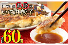 P43002 鹿児島県 肝付町産 黒豚 餃子 ギョーザ(計60個・12個入 5パック)  ぎょうざ たれ付き パリパリ もちもち ジューシー おかず 弁当 冷凍 冷凍食品 中華 豚肉 国産【財宝】