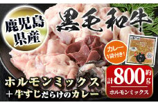 A91031 黒毛和牛ホルモンミックス(計800g)＋黒毛和牛牛すじだらけのカレー(1袋)セット！ 鹿児島 国産 牛肉 黒毛和牛 牛肉専門店 和牛日本一 惣菜 おかず 牛すじ ホルモン ミックス レトルトカレー ご当地カレー【新村畜産】