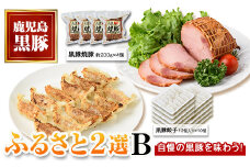 B02104 ふるさと2選B 焼豚(約200g×4個・計800g)と餃子(12個入×10パック・計120個)のセット 鹿児島 国産 九州産 黒豚 豚肉 お肉 焼豚 餃子 冷凍 おかず ギフト 贈答 特別な日に【和田養豚】