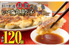 P43003 鹿児島県 肝付町産 黒豚 餃子 ギョーザ(計120個・12個入 10パック) ぎょうざ たれ付き パリパリ もちもち ジューシー おかず 弁当 冷凍 冷凍食品 中華 豚肉 国産【財宝】