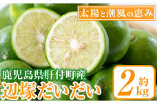 P20001 辺塚だいだい 青果 (2kg)鹿児島 国産 橙 だいだい 柑橘 かんきつ 果物 フルーツ 贈答 ギフト【NPO法人 陸の宝島・岸良】