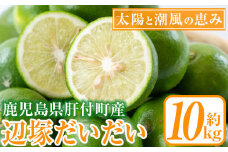 A20008 辺塚だいだい 青果 (10kg)鹿児島 国産 橙 だいだい 柑橘 かんきつ 果物 フルーツ 贈答 ギフト【NPO法人 陸の宝島・岸良】