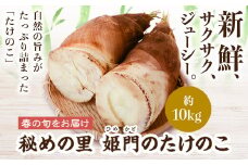 E32001 秘めの里 姫門のたけのこ(約10kg)鹿児島 国産 たけのこ 筍 タケノコ 野菜 産地直送 煮物 味噌汁 炊き込みご飯【秘めの里 姫門のたけのこ】