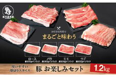 A05052 鹿児島県産豚しゃぶしゃぶバラエティーお楽しみセット(合計約1.2kg)鹿児島 豚肉 ポーク ロース バラ ウデ モモ しゃぶしゃぶ 焼肉 バラエティ セット【大将食品】