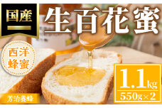 A51003 国産西洋蜂蜜 生百花蜜(1.1kg・550g×2) 国産 鹿児島県産 蜂蜜 はちみつ ハチミツ ギフト プレゼント 贈答 家庭用【芳治養蜂】