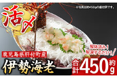B47004 【活き〆冷凍】肝付町内之浦産　伊勢海老(えっがね)の刺身 (約450g)鹿児島 国産 海老 えび エビ 伊勢海老 海の幸 刺身 さしみ 冷凍 真空パック 【網元】