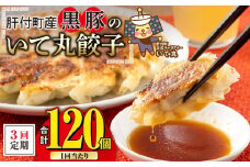 C43018 ＜定期便・全3回＞ 鹿児島県 肝付町産 黒豚 餃子 ギョーザ (1回120個・12個入 10パック) ぎょうざ たれ付き パリパリ もちもち ジューシー おかず 弁当 冷凍 冷凍食品 中華 豚肉 国産【財宝】