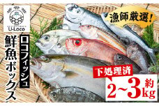 A78003 漁師厳選！ロコフィッシュ(地魚) 下処理済 鮮魚 ボックス(約2～3kg)地魚 魚 お魚 冷蔵 生もの 加工品 未利用魚 低利用魚 焼き魚 焼魚 刺し身 刺身 煮魚 届くまでのお楽しみ 鮮魚セット 鮮魚ボックス 鮮魚BOX【昌徳丸】
