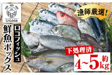 A78004 漁師厳選！ロコフィッシュ(地魚) 下処理済 鮮魚 ボックス(約4～5kg)地魚 魚 お魚 冷蔵 生もの 加工品 未利用魚 低利用魚 焼き魚 焼魚 刺し身 刺身 煮魚 届くまでのお楽しみ 鮮魚セット 鮮魚ボックス 鮮魚BOX【昌徳丸】