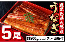 C57003 うなぎ蒲焼・大(有頭)(5尾・計800g以上、タレ、山椒付)鹿児島 国産 鰻 うなぎ ウナギ 蒲焼き うな丼 うな重 ひつまぶし 土用の丑の日 真空パック お土産 贈答 ギフト プレゼント【一般社団法人きもつき宇宙協議会】