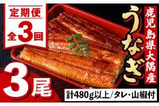 E57004 ＜定期便・計3回(連続)＞うなぎ蒲焼・大(有頭)(3尾・計480g以上×3回、タレ、山椒付)鹿児島 国産 鰻 うなぎ ウナギ 蒲焼き うな丼 うな重 ひつまぶし 土用の丑の日 真空パック お土産 贈答 ギフト プレゼント【一般社団法人きもつき宇宙協議会】