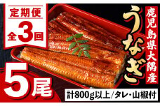 E57005 ＜定期便・計3回(連続)＞うなぎ蒲焼・大(有頭)(5尾・計800g以上×3回、タレ、山椒付)鹿児島 国産 鰻 うなぎ ウナギ 蒲焼き うな丼 うな重 ひつまぶし 土用の丑の日 真空パック お土産 贈答 ギフト プレゼント【一般社団法人きもつき宇宙協議会】