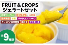 A83004 南のくだもの王国 南のFRUIT＆CROPS ジェラート セット (9種 9個入り) ジェラート アイスクリーム アイス スイーツ フルーツ おやつ デザート お菓子 冷凍 冷凍食品 ギフト 甘夏 タンカン 柑橘  大将季 【農地所有適格法人株式会社P＆Y'sLabo】