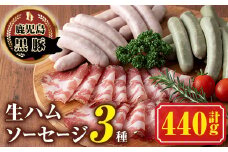 A03009 南州農場 黒豚生ハム・ソーセージ詰合せ＜あらびきウィンナー(ほうれん草 100g×2 / ジンジャー 100g×2)・コッパ40g×1＞ 鹿児島 国産 九州産 豚肉 黒豚 南州黒豚 ウィンナー ソーセージ ほうれん草 生姜 生ハム セット 贈答 ギフト 冷凍 【南州農場(株)高山ミートセンター】