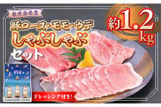 W05007 鹿児島県産豚ロース モモ ウデ しゃぶしゃぶセット(合計約1.2kg) ドレッシング付き 鹿児島 豚肉 ポーク ロース ウデ モモ しゃぶしゃぶ 生姜焼き 焼肉 バラエティ セット 胡麻 ゴマ ごまだれ ドレッシング 【大将食品】
