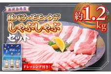 W05009 鹿児島県産豚バラ モモ ウデ しゃぶしゃぶセット(合計約1.2kg) ドレッシング付き 鹿児島 豚肉 ポーク バラ ウデ モモ しゃぶしゃぶ 生姜焼き 焼肉 バラエティ セット 胡麻 ゴマ ごまだれ ドレッシング 【大将食品】