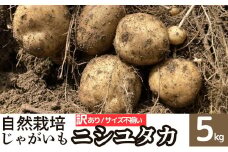 A94001 ＜訳あり＞ 自然栽培 じゃがいも ニシユタカ (約5kg) 鹿児島 国産 【農園むむむ】