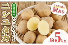 A94001 ＜訳あり＞ 自然栽培 じゃがいも ニシユタカ (約5kg) 鹿児島 国産 ジャガイモ ポテト 野菜 自然農法 産地直送【農園むむむ】