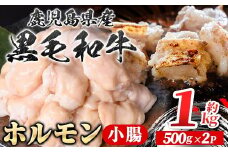 A01039 鹿児島県産黒毛和牛 ホルモン 小腸 (計約1kg・約500g×2P) 鹿児島 国産 九州産 黒毛和牛 牛肉 ホルモン 牛ホルモン 生ホルモン モツ 小腸  真空パック 個包装 小分け 冷凍 焼肉 もつ鍋 煮込み【新村畜産】