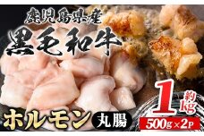 A01037 鹿児島県産黒毛和牛 ホルモン 丸腸 (計約1kg・約500g×2P) 鹿児島 国産 九州産 黒毛和牛 牛肉 ホルモン 牛ホルモン 生ホルモン モツ 丸腸 マルチョウ  真空パック 個包装 小分け 冷凍 焼肉 もつ鍋 煮込み【新村畜産】