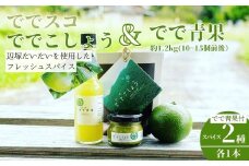 A60002 ででこしょう＆ででスコ でで青果 セット(ででこしょう30g・ででスコ65ml・でで（辺塚だいだい）約1.2kg) 香辛料 スパイス だいだい 橙 辺塚だいだい お取り寄せ ギフト 贈答【岸良リトリート】
